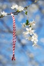 Martenitsa Bulgarian tradition Royalty Free Stock Photo