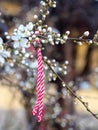 Martenitsa or Martisor - bulgarian and romanian tradition Royalty Free Stock Photo