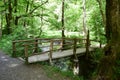 Martental, Germany - 06 02 2022: wooden bridge in the forest