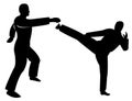 Martial art Royalty Free Stock Photo
