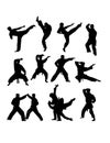 Martial Art Action Silhouettes Royalty Free Stock Photo