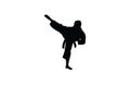 Martial art karate illustration