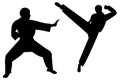 Martial art kick Royalty Free Stock Photo