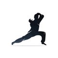 Martial art silhouette vector, fight sport logo design.