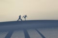 Martial artists silhouettes and shadows