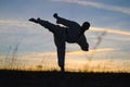 Martial arts Royalty Free Stock Photo