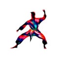 Martial arts abstract silhouette on white background