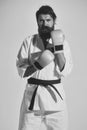 Martial arts. bearded serious karate man in kimono and boxing gloves Royalty Free Stock Photo