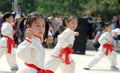 Martial arts child Royalty Free Stock Photo