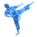 Martial arts design logo in vector quality.