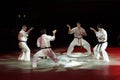 Martial arts festival in Russia