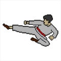Martial arts fighter with high kicks in pixel art