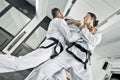 Martial arts fighters Royalty Free Stock Photo