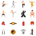 Martial Arts Icons Set Royalty Free Stock Photo