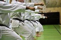 Martial arts karate Royalty Free Stock Photo