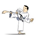 Martial arts - Karate kick