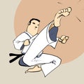 Martial arts - Karate power kick