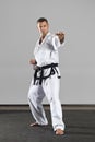 Martial arts master Royalty Free Stock Photo