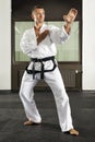 Martial arts master Royalty Free Stock Photo