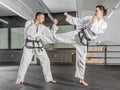 Martial arts master Royalty Free Stock Photo