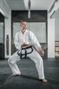 Martial arts master Royalty Free Stock Photo