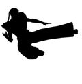 Martial arts ninja Royalty Free Stock Photo