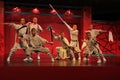 Martial arts performance