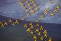 Martial arts: the Seventh National City Games opening ceremony rehearsal