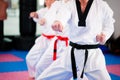 Martial Arts sport training in gym Royalty Free Stock Photo
