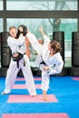 Martial Arts sport training in gym Royalty Free Stock Photo