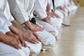 Martial arts students Royalty Free Stock Photo