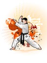 Martial arts vector illustration Royalty Free Stock Photo