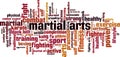 Martial arts word cloud