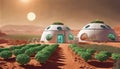 Martian Greenhouses in Red Desert