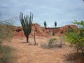 The Martian landscape of Cuzco, the Red Desert, part of Colombia`s Tatacoa Desert. Royalty Free Stock Photo