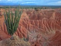 The Martian landscape of Cuzco, the Red Desert, part of Colombia`s Tatacoa Desert. Royalty Free Stock Photo