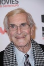 Martin Landau Royalty Free Stock Photo