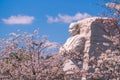 Martin Luther King Junior Memorial in Washington D.C., USA Royalty Free Stock Photo