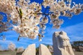 Martin Luther King Monument Royalty Free Stock Photo