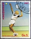 Martina navratilova, a Czechoslovak-born American former professional tennis player and coach