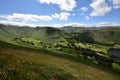 Martindale Common Royalty Free Stock Photo