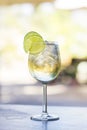 Martini bianco vermouth spritzer with lime