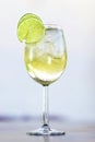 Martini bianco vermouth spritzer with lime