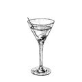 Martini cocktail with olive. Vintage hatching vector