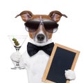 Martini dog Royalty Free Stock Photo