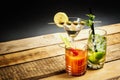 Martini drink with olive and mojito with mint and bloody mary with celery Royalty Free Stock Photo