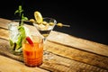 Martini drink with olive and mojito with mint and bloody mary with celery Royalty Free Stock Photo