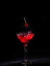 Martini glass with cherries Royalty Free Stock Photo