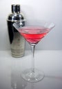 Martini Glass and Cocktail Shaker Royalty Free Stock Photo