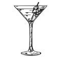 Martini glass with olives. Hand drawn alcohol cocktail. Hand drawn black color martini cocktail with olive. Vintage Royalty Free Stock Photo